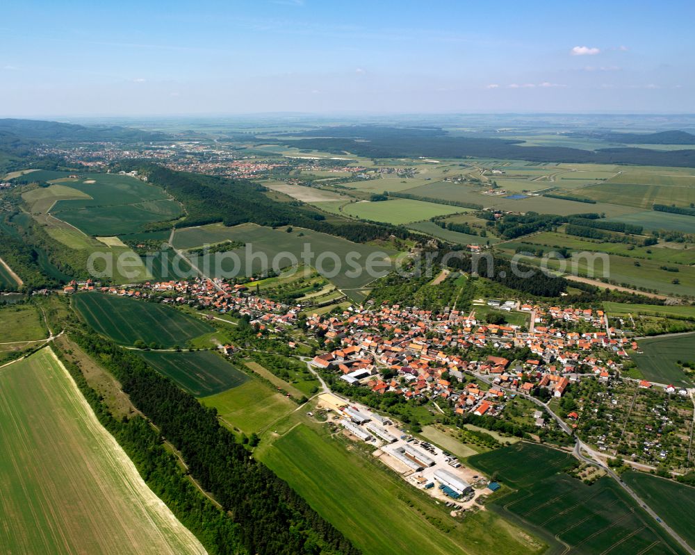 Aerial photograph Weddersleben - Urban area with outskirts and inner city area on the edge of agricultural fields and arable land in Weddersleben in the state Saxony-Anhalt, Germany