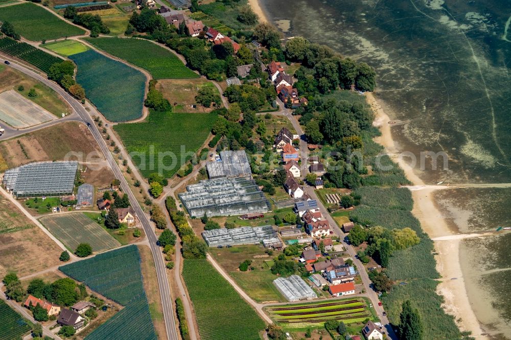 Reichenau from the bird's eye view: Outskirts residential along the Pirminstrasse in Reichenau in the state Baden-Wurttemberg, Germany