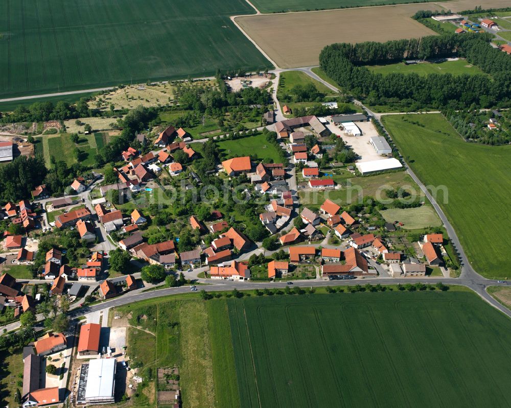 Minsleben from the bird's eye view: Outskirts residential in Minsleben in the state Saxony-Anhalt, Germany