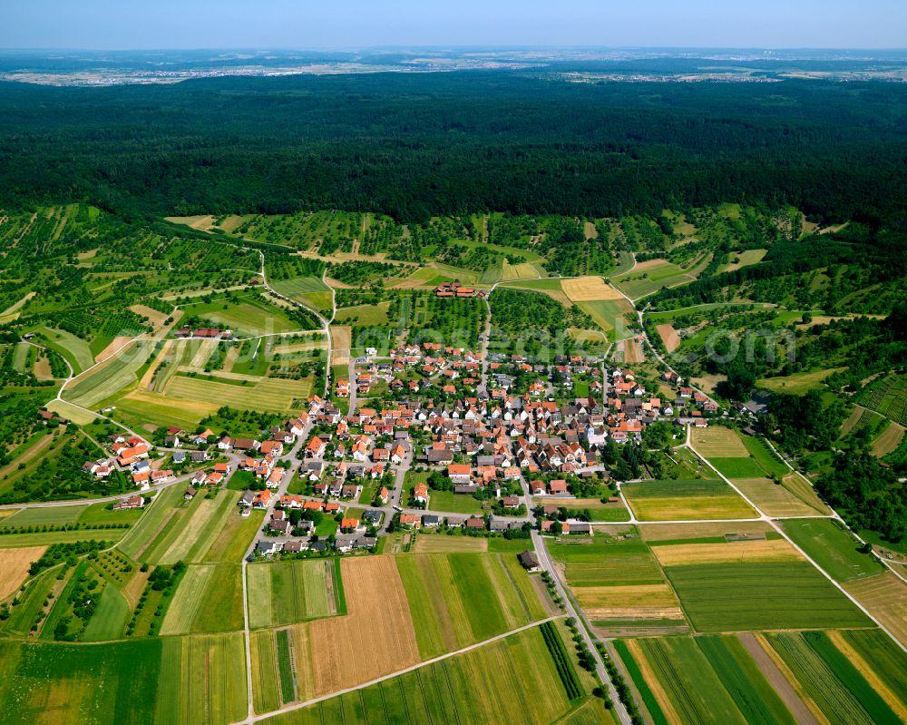 Ammerbuch from above - City view from the outskirts with adjacent agricultural fields in Ammerbuch in the state Baden-Wuerttemberg, Germany