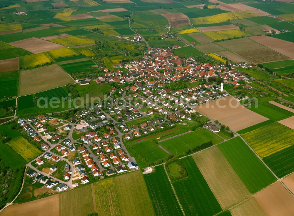 Asselfingen from the bird's eye view: City view from the outskirts with adjacent agricultural fields in Asselfingen in the state Baden-Wuerttemberg, Germany