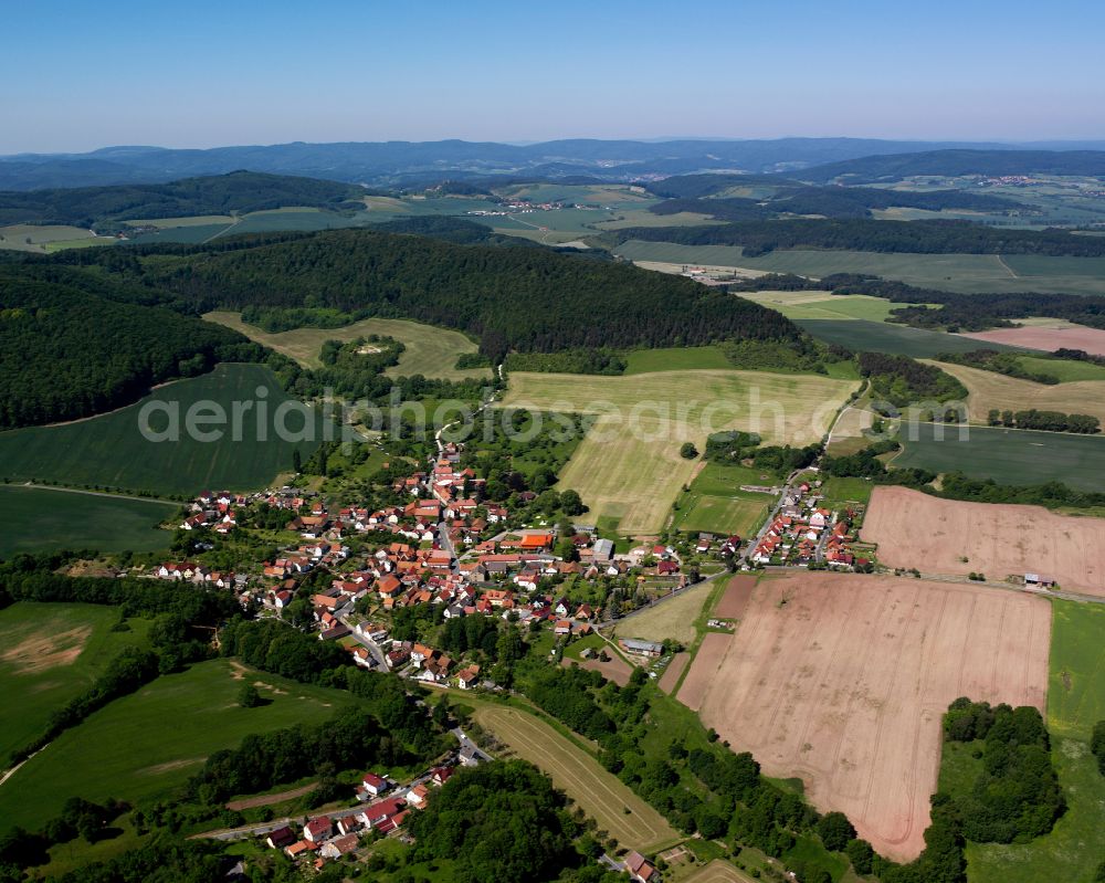 Birkenfelde from the bird's eye view: City view from the outskirts with adjacent agricultural fields in Birkenfelde in the state Thuringia, Germany