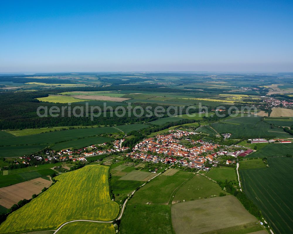 Büttstedt from the bird's eye view: City view from the outskirts with adjacent agricultural fields in Büttstedt in the state Thuringia, Germany