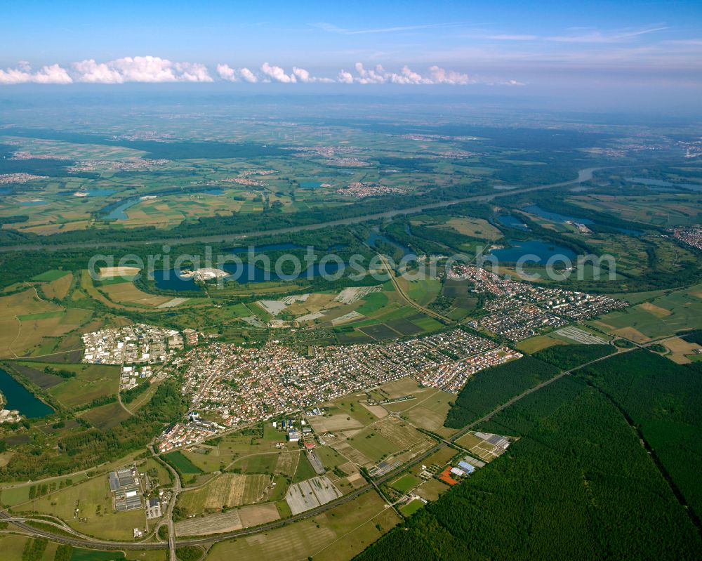 Eggenstein from the bird's eye view: City view from the outskirts with adjacent agricultural fields in Eggenstein in the state Baden-Wuerttemberg, Germany