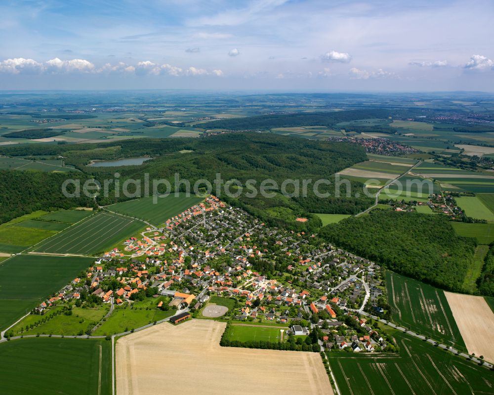 Aerial photograph Hahndorf - City view from the outskirts with adjacent agricultural fields in Hahndorf in the state Lower Saxony, Germany