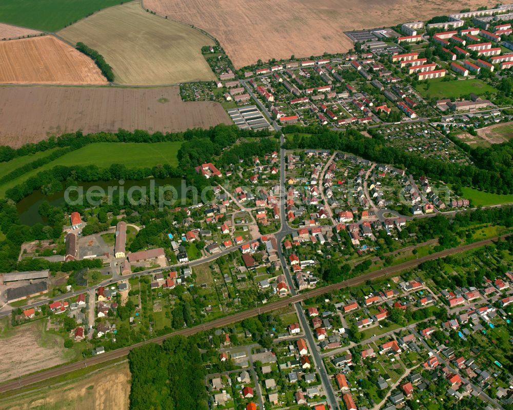 Aerial photograph Riesa - City view from the outskirts with adjacent agricultural fields in Riesa in the state Saxony, Germany