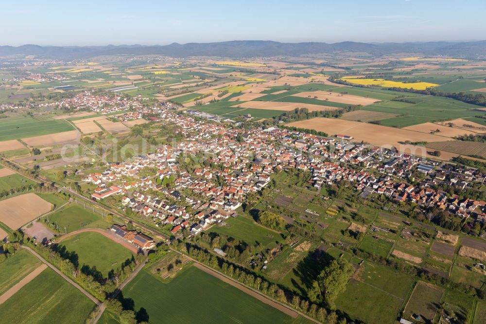 Steinfeld from above - City view from the outskirts with adjacent agricultural fields in Steinfeld in the state Rhineland-Palatinate, Germany