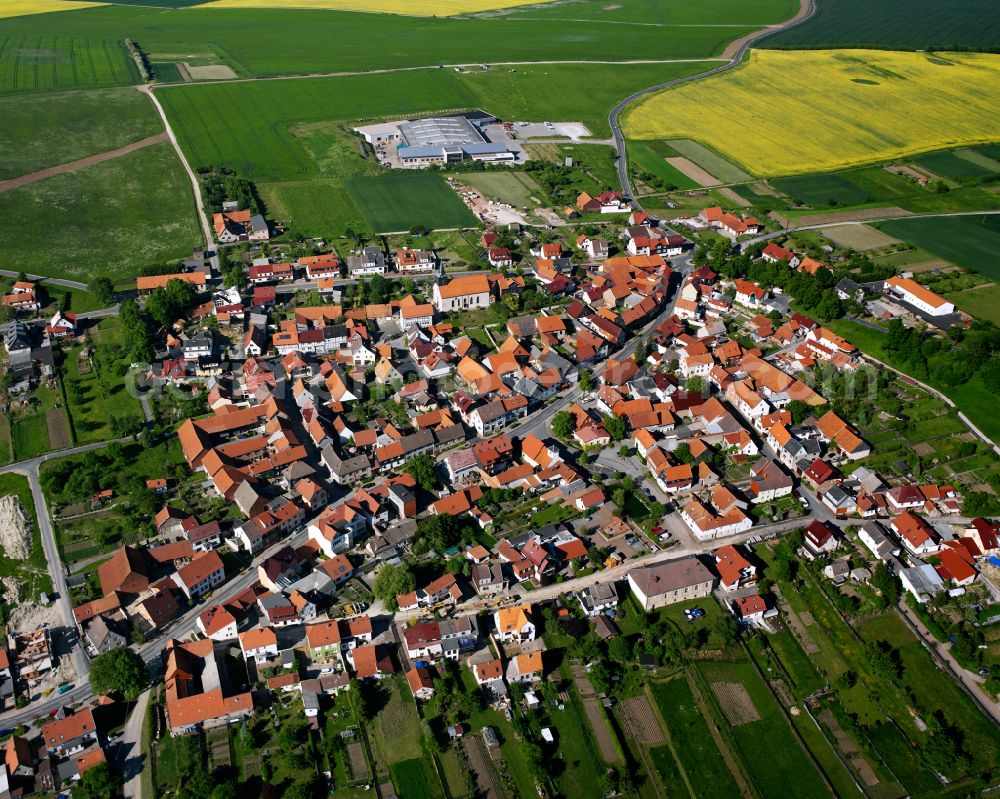 Aerial photograph Wachstedt - City view from the outskirts with adjacent agricultural fields in Wachstedt in the state Thuringia, Germany