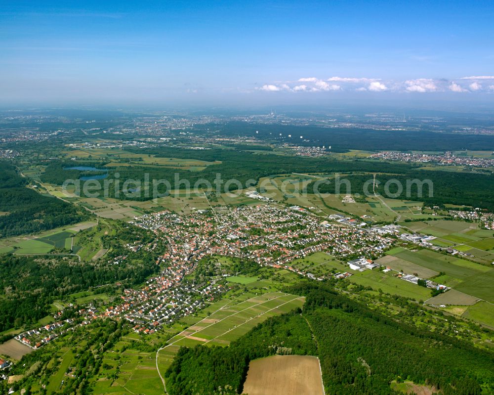 Weingarten (Baden) from the bird's eye view: City view from the outskirts with adjacent agricultural fields in Weingarten (Baden) in the state Baden-Wuerttemberg, Germany