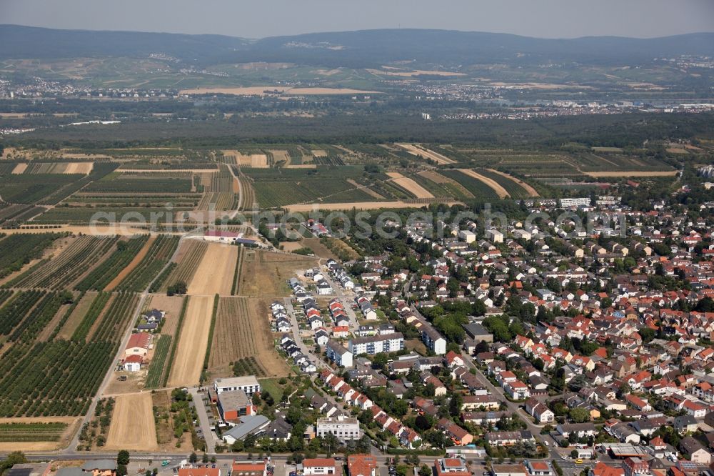 Aerial photograph Mainz - District Finthen in the city in Mainz in the state Rhineland-Palatinate