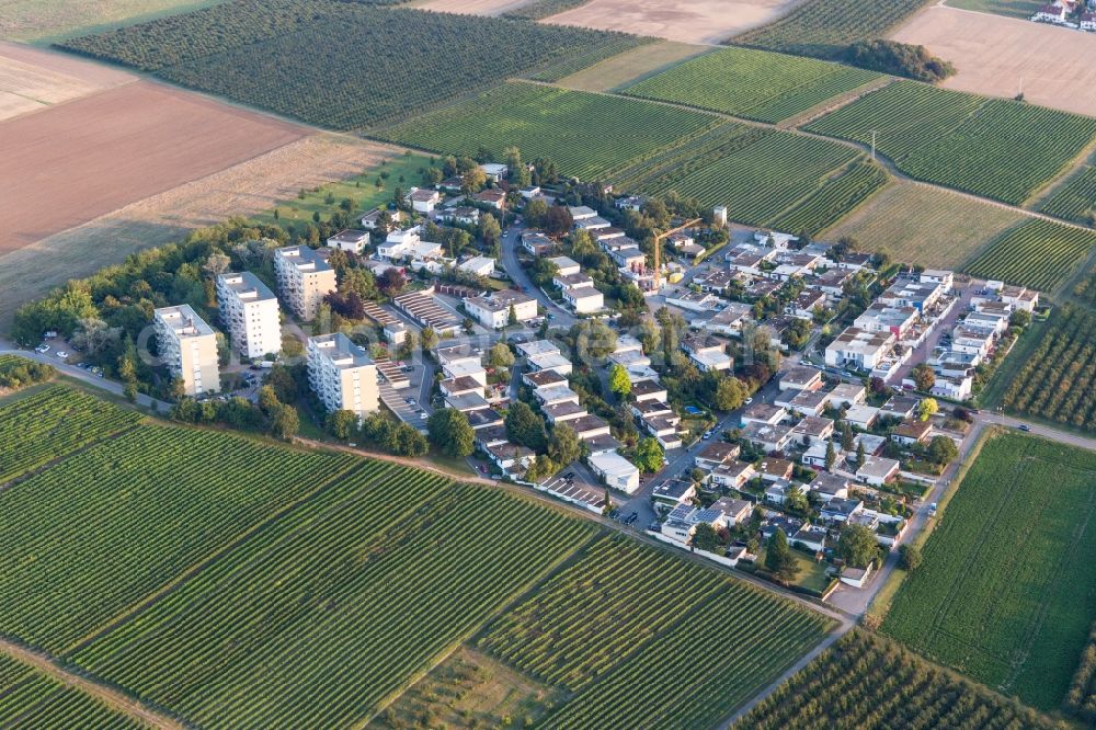 Aerial photograph Nieder-Olm - District Goldbergstrasse in the city in Nieder-Olm in the state Rhineland-Palatinate, Germany