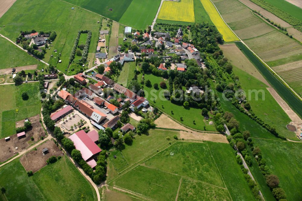 Aerial photograph Gau-Algesheim - Blick auf den Stadtteil Laurenziberg in Gau-Algesheim in Rheinland Pfalz, mit der St. Laurenzikirche, welche 1707 anstelle der Pfarrkirche eines untergegangenen Dorfes errichtet wurde. View to the city district Laurenziberg of Gau-Algesheim in Rhineland-Palastinate, with the St. Laurenzi Church which was built in 1707.