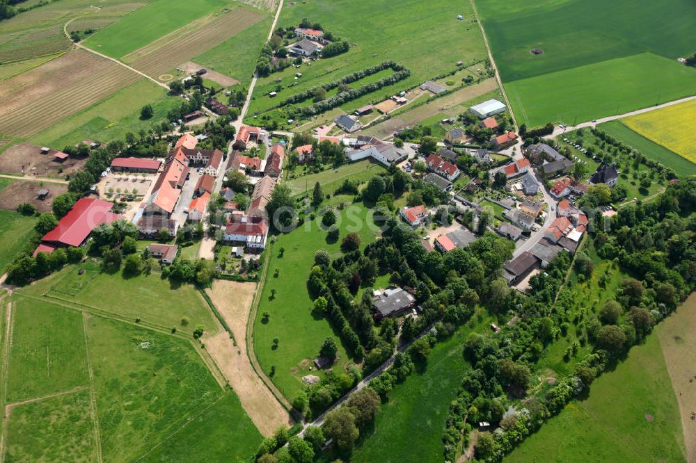 Gau-Algesheim from above - Blick auf den Stadtteil Laurenziberg in Gau-Algesheim in Rheinland Pfalz, mit der St. Laurenzikirche, welche 1707 anstelle der Pfarrkirche eines untergegangenen Dorfes errichtet wurde. View to the city district Laurenziberg of Gau-Algesheim in Rhineland-Palastinate, with the St. Laurenzi Church which was built in 1707.