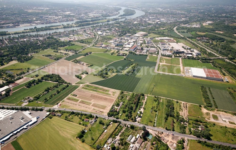 Wiesbaden from above - The district Mainz-Kastel on the banks of the Rhine with agricultural land and residential and industrial areas in Wiesbaden in Hesse