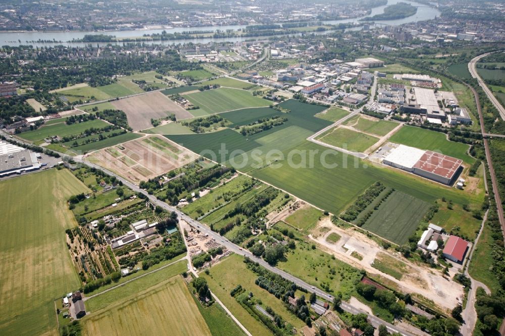 Wiesbaden from the bird's eye view: The district Mainz-Kastel on the banks of the Rhine with agricultural land and residential and industrial areas in Wiesbaden in Hesse