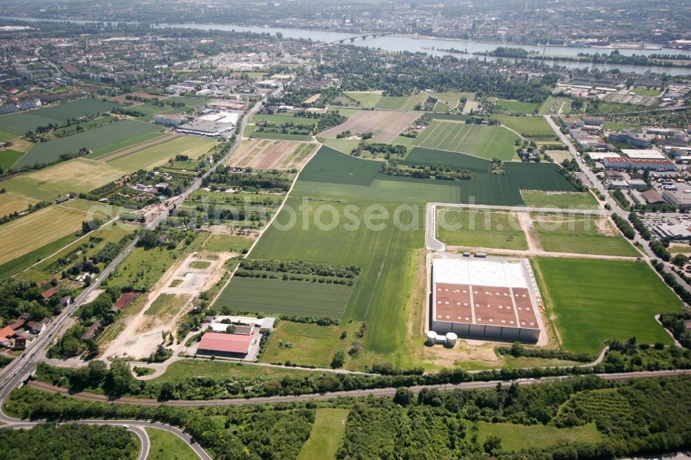 Wiesbaden from the bird's eye view: The district Mainz-Kastel with agricultural land and the industrial area in Wiesbaden in Hesse