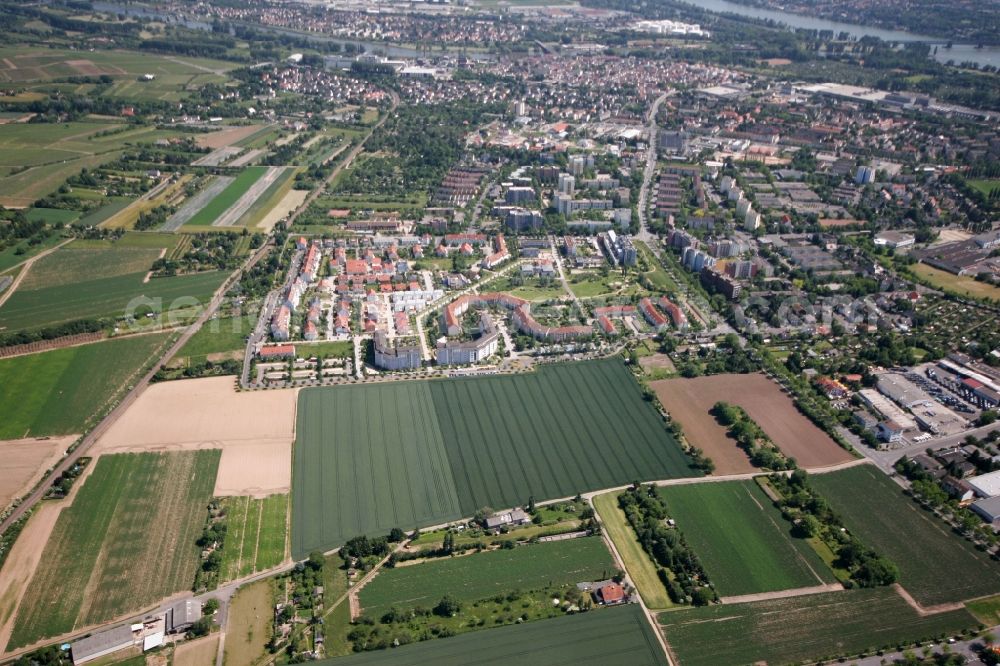 Wiesbaden from the bird's eye view: The district Mainz-Kastel at the shore of the Rhein with agricultural land and the residencial areas in Wiesbaden in Hesse