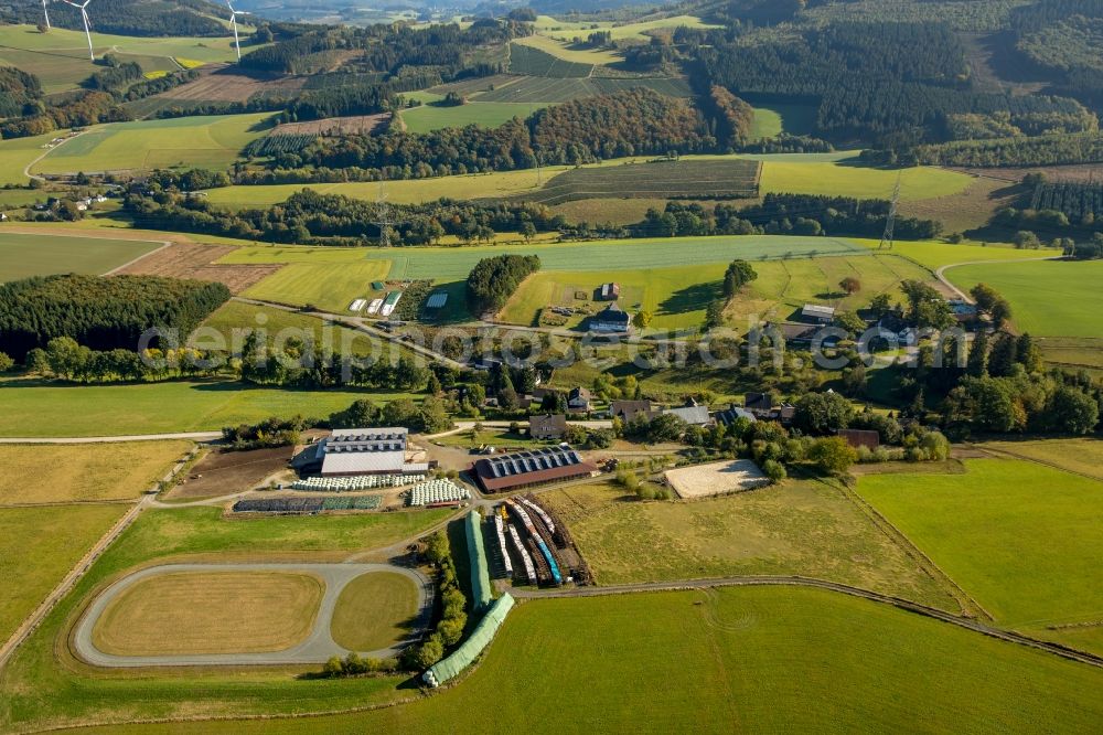 Meschede from above - District Mosebolle in Meschede in the state North Rhine-Westphalia