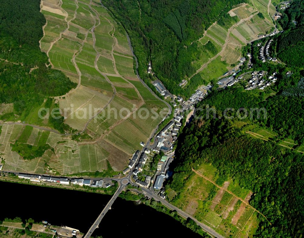 Aerial photograph Zell (Mosel) Notenau - Notenau district on the banks of the Moselle in Zell (Mosel) in Rhineland-Palatinate