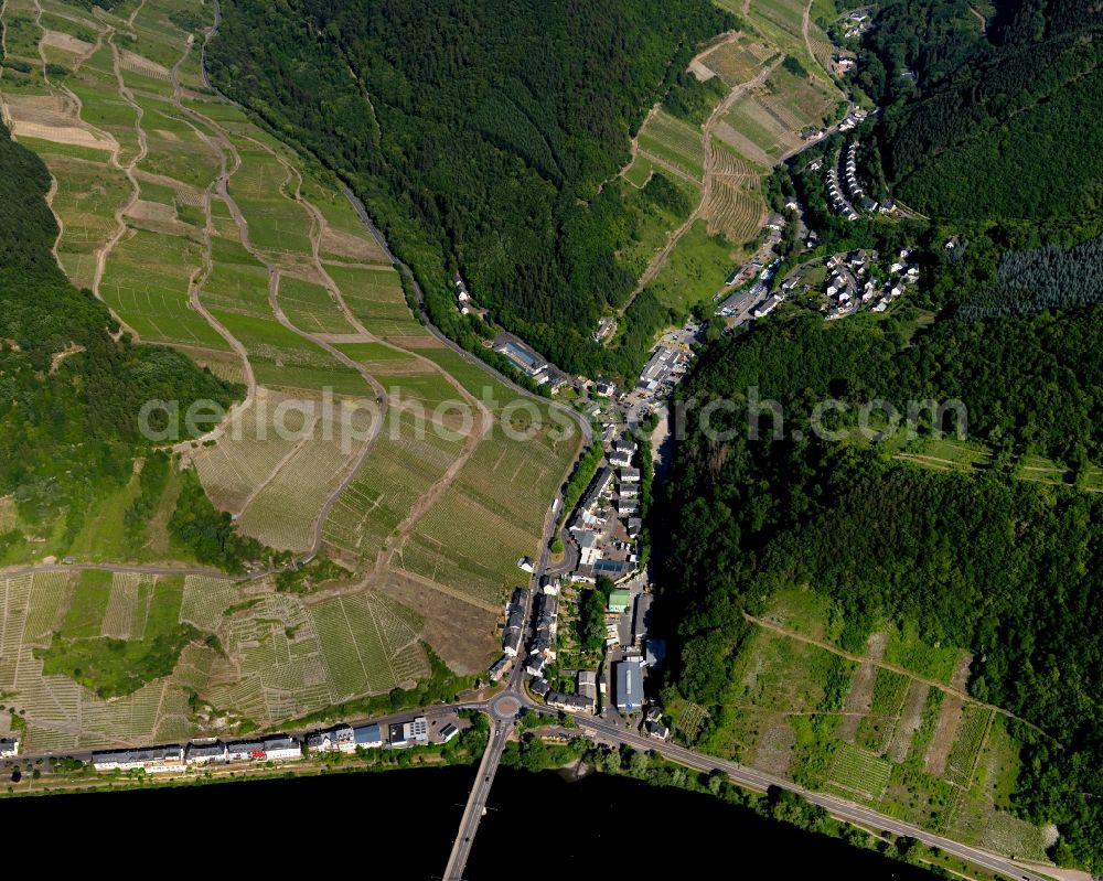 Zell (Mosel) Notenau from above - Notenau district on the banks of the Moselle in Zell (Mosel) in Rhineland-Palatinate