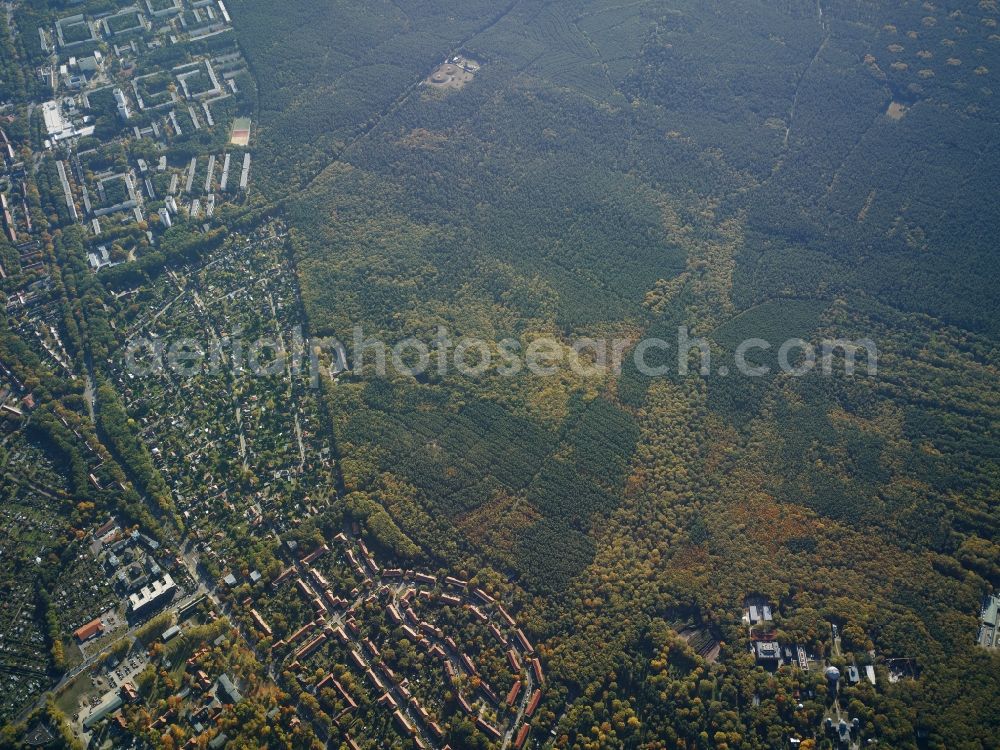 Potsdam from above - District Potsdam Sued, with the nearby housing estate at the road Heinrich-Mann-Allee, forestland Potsdam Sued and the research institution Forschungsinstitut fuer Klimafolgenforschung in the city in Potsdam in the state Brandenburg