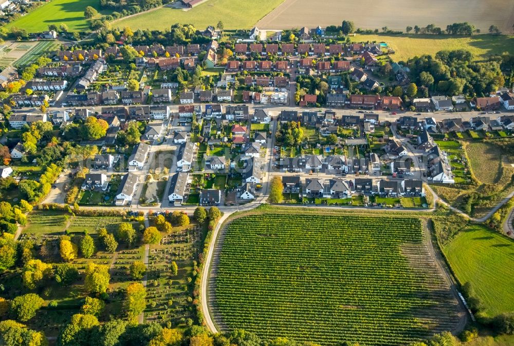 Aerial image Gladbeck - District Rentfort with multiple dwelling along the Hegestrasse in Gladbeck in the state North Rhine-Westphalia