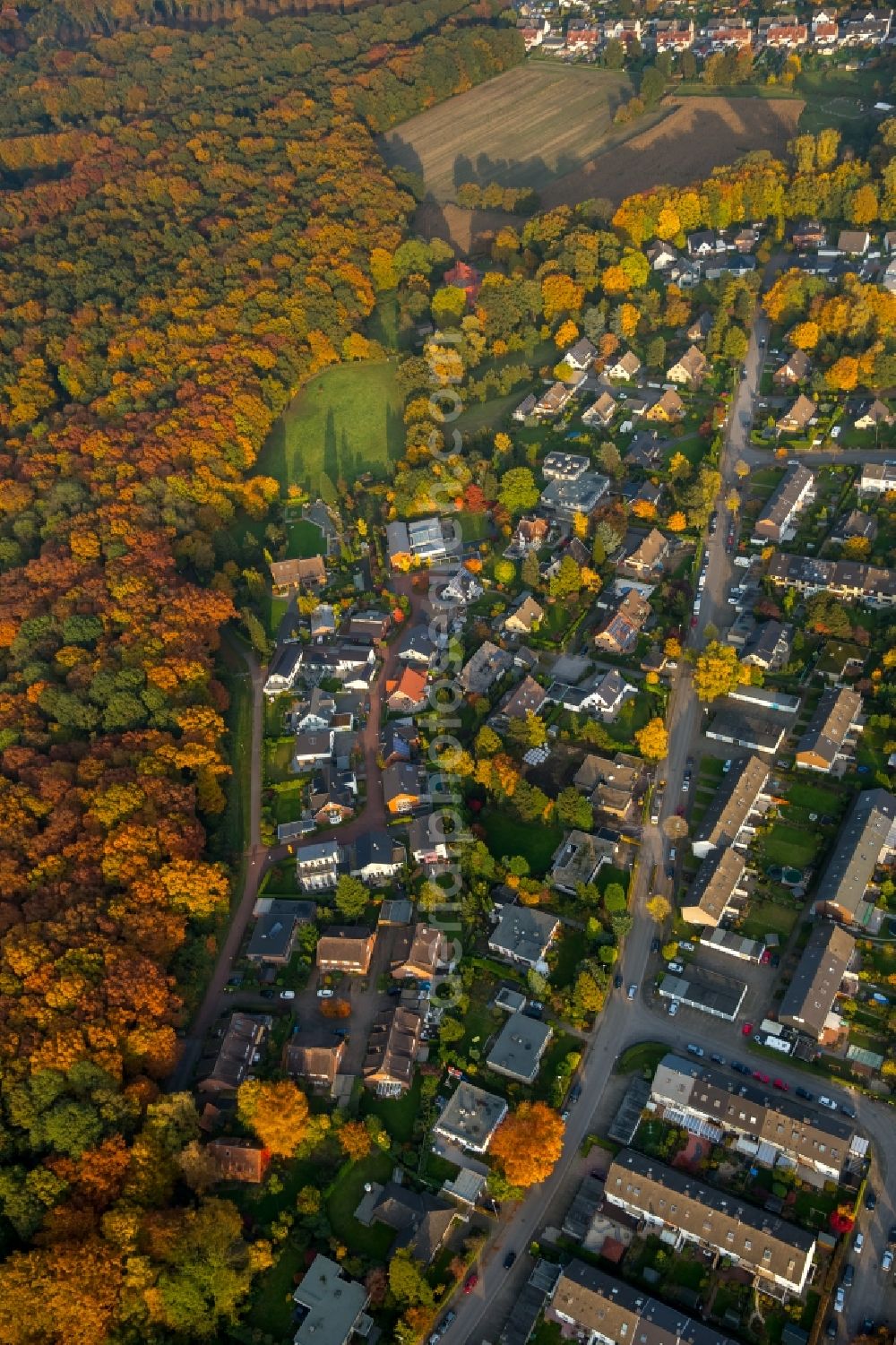 Gladbeck from the bird's eye view: View of the residential area Bloomshof-West and the Gustav-Stresemann-Street in the autumnal Gladbeck in the state of North Rhine-Westphalia