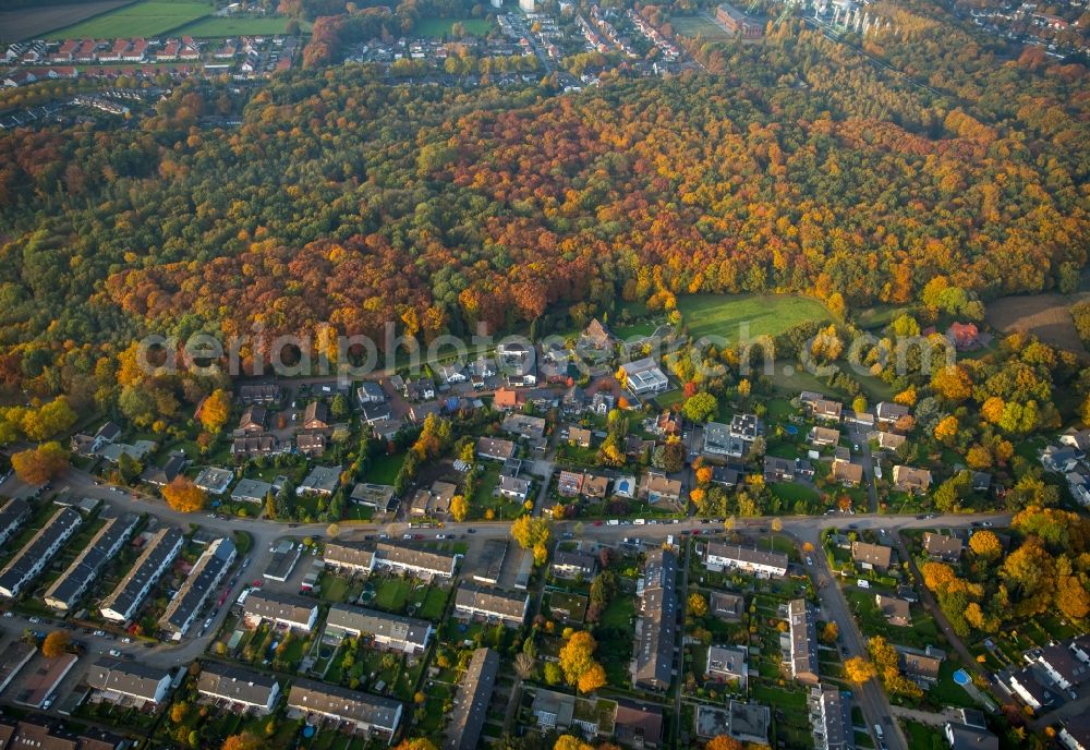 Gladbeck from above - View of the residential area Bloomshof-West and the Enfieldstrasse in the autumnal Gladbeck in the state of North Rhine-Westphalia