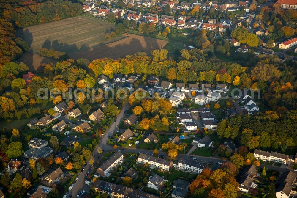 Aerial image Gladbeck - View of the residential area Bloomshof-West and the Wodzislawwegs in autumnal Gladbeck in the state of North Rhine-Westphalia