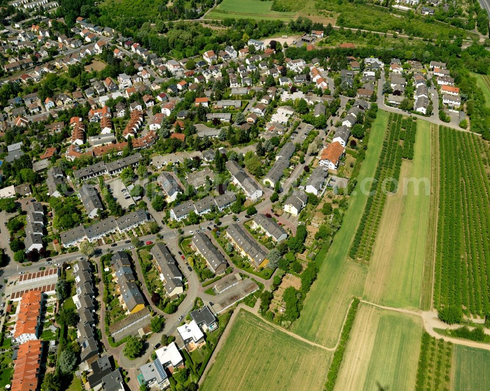 Mainz from above - View of the Finthen district of Mainz in the state of Rhineland-Palatinate. The most Western district includes several residential areas and estates and is surrounded by fields, meadows and wooded hills