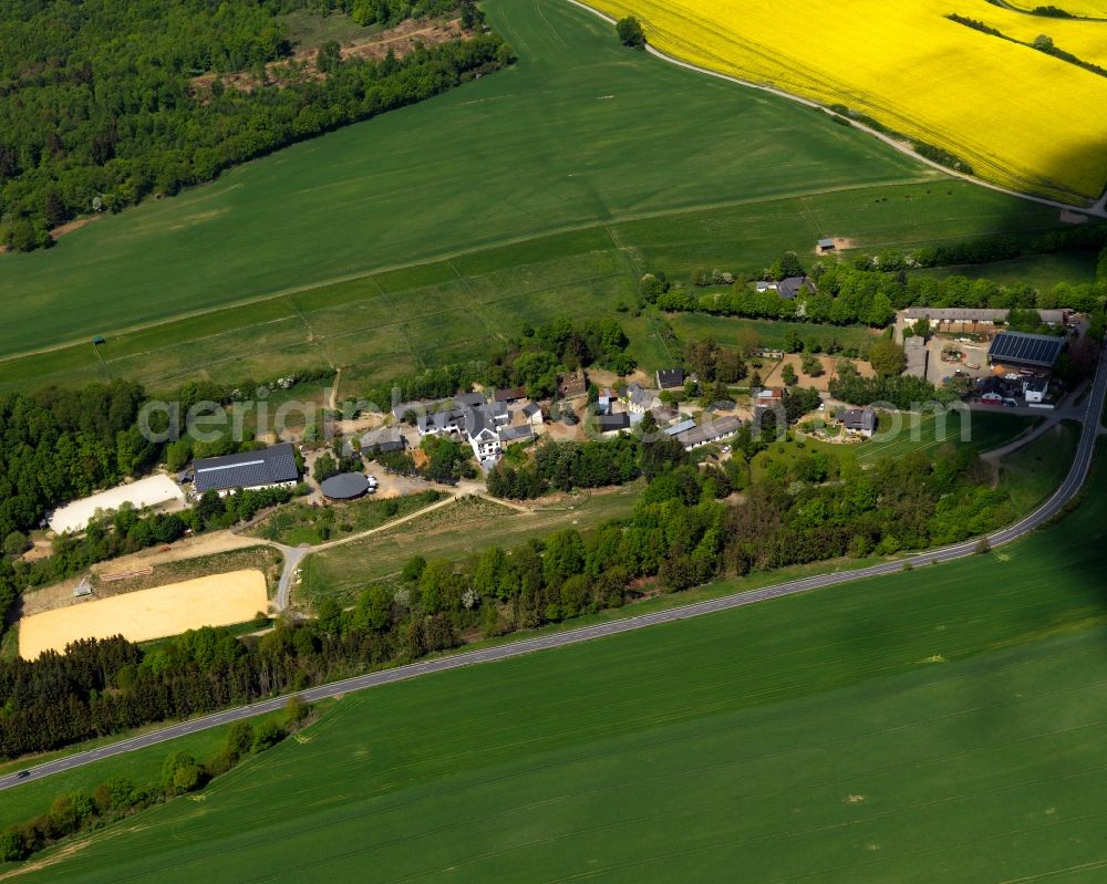 Aerial photograph Mayen - View of the Geisbueschhof part of Mayen in the state Rhineland-Palatinate. The town is located in the county district of Mayen-Koblenz in the Eifel region. The urban area is crossed by the river Nette. Mayen consists of a main town and four boroughs and districts. Geisbueschhof with its horse breeding farm belongs to the main town and is located in its Southwest