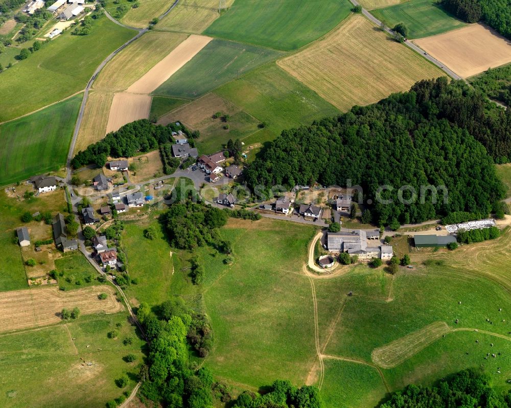 Aerial photograph Wissen - View of the Glatteneichen part of Wissen in the state of Rhineland-Palatinate. The town of Wissen consists of several parts and districts and is capital of the municipiality of the same name. The town is an official spa town. Glatteneichen is located in the South of the town