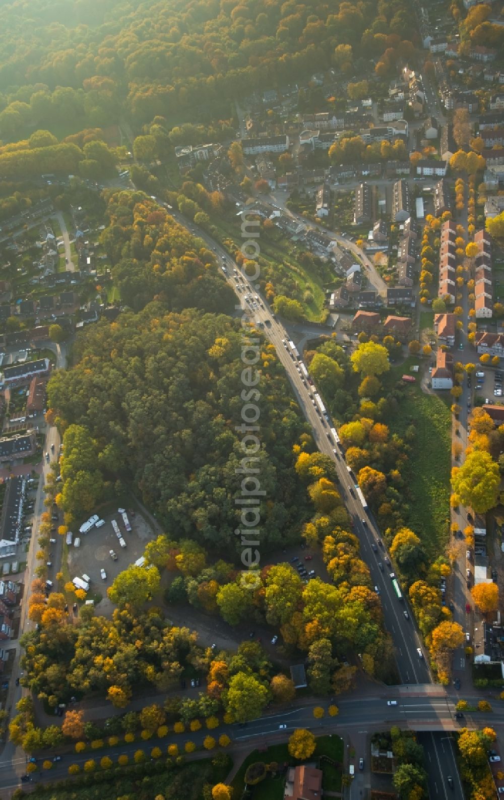 Aerial image Gladbeck - View of the autumnal area along federal highway B224 in the South of the city centre in Gladbeck in the state of North Rhine-Westphalia