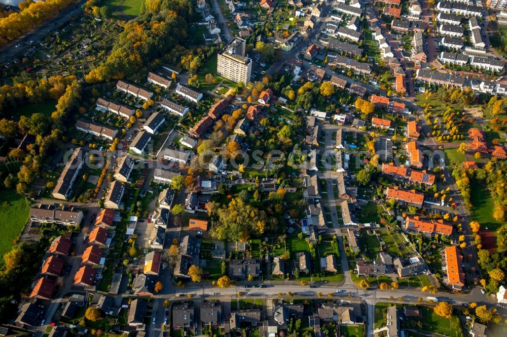 Aerial photograph Gladbeck - View of an autumnal residential area on Steinstrasse in Gladbeck in the state of North Rhine-Westphalia