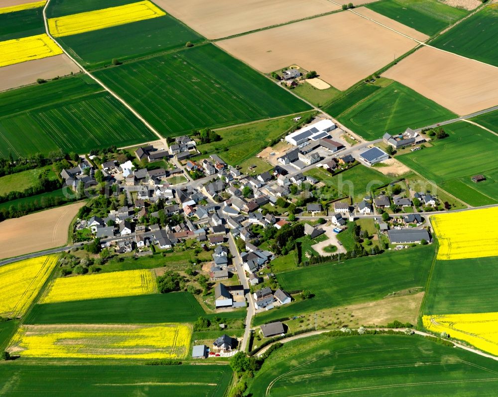 Aerial photograph Münstermaifeld - View of the Kuettig part of Muenstermaifeld in the state of Rhineland-Palatinate. The agricultural town is located in the county district of Mayen-Koblenz and surrounded by meadows and rapeseed fields. It is located in the borough of Maifeld and consists of residential areas such as Kuettig