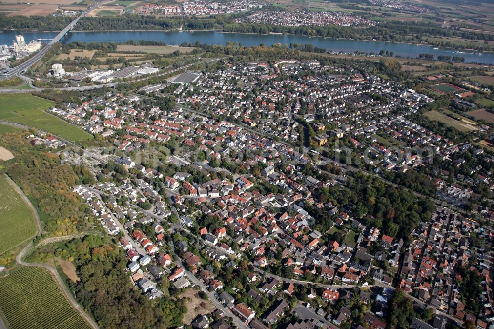 Mainz from the bird's eye view: View of the Laubenheim part of Mainz in the state of Rhineland-Palatinate. The district consists of historic residential and business buildings as well as estates and appartment blocks. It is located on the riverbank of the Rhine, in the South of Mainz