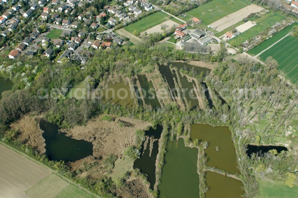 Mainz from above - View of the Laubenheim part of Mainz in the state of Rhineland-Palatinate. The district consists of historic residential and business buildings as well as estates and appartment blocks. It is located on the riverbank of the Rhine, in the South of Mainz, and is partly surrounded by fields and agricultural land