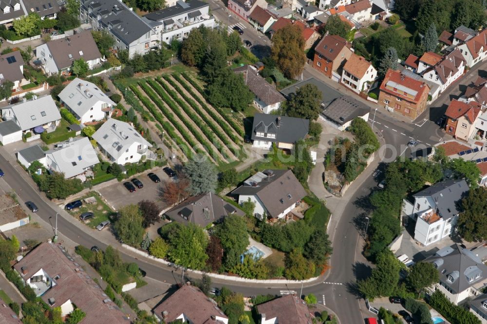 Mainz from above - View of the Laubenheim part of Mainz in the state of Rhineland-Palatinate. The district consists of historic residential and business buildings as well as estates and appartment blocks. It is located on the riverbank of the Rhine, in the South of Mainz, and is partly surrounded by fields and agricultural land