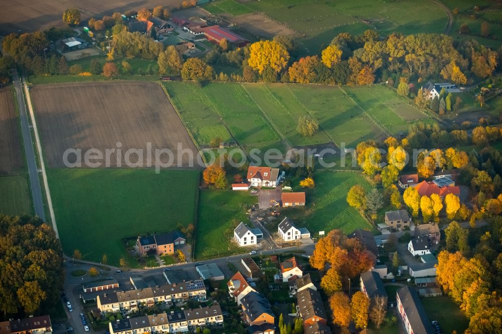 Aerial photograph Gladbeck - View of the North of autumnal Zweckel along the residential area of Feldhauser Strasse and Schulstrasse in Gladbeck in the state of North Rhine-Westphalia