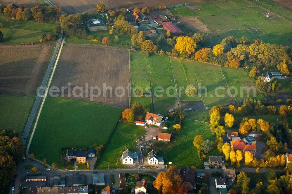 Gladbeck from the bird's eye view: View of the North of autumnal Zweckel along the residential area of Feldhauser Strasse and Schulstrasse in Gladbeck in the state of North Rhine-Westphalia