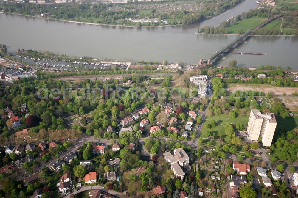 Mainz from the bird's eye view: View of the Oberstadt part of Mainz in the state of Rhineland-Palatinate. The district consists of several residential buildings and estates and extensive green spaces. It is located on the riverbank of the Rhine