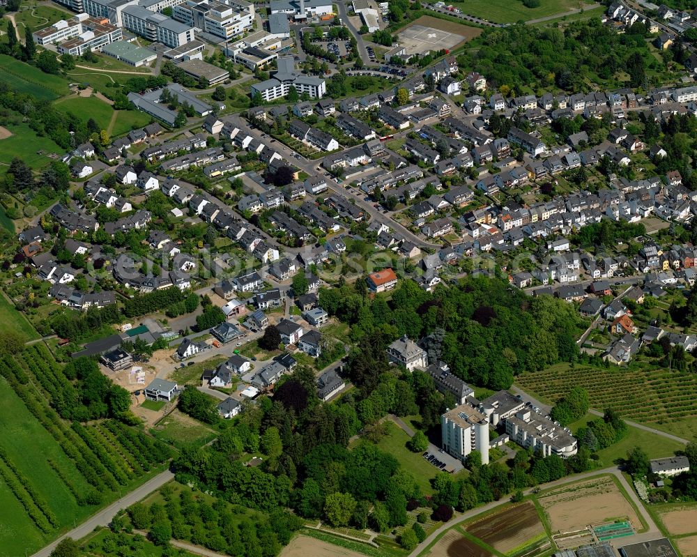 Aerial photograph Koblenz - View of the centre of the Metternich part of Koblenz in the state Rhineland-Palatinate. Metternich is located on the left riverbank of the river Moselle. It includes a the campus of the University of Koblenz-Landau, the central military hospital and a nature park