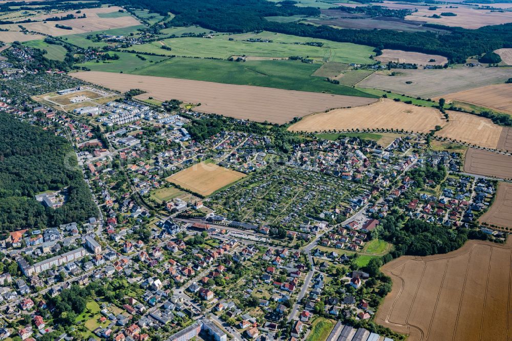 Aerial image Ostseebad Kühlungsborn - The city center in the downtown area on street Fritz-Reuter-Strasse in Ostseebad Kuehlungsborn in the state Mecklenburg - Western Pomerania, Germany