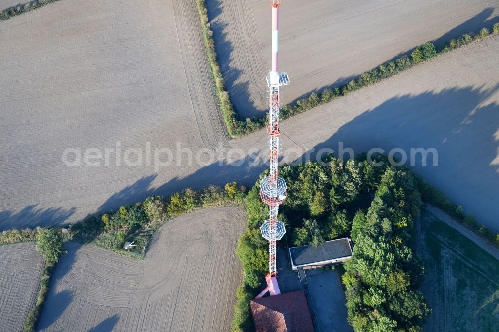 Groß Disnack from the bird's eye view: Steel mast funkturm and transmission system as basic network transmitter Sender Berkenthin in Gross Disnack in the state Schleswig-Holstein, Germany