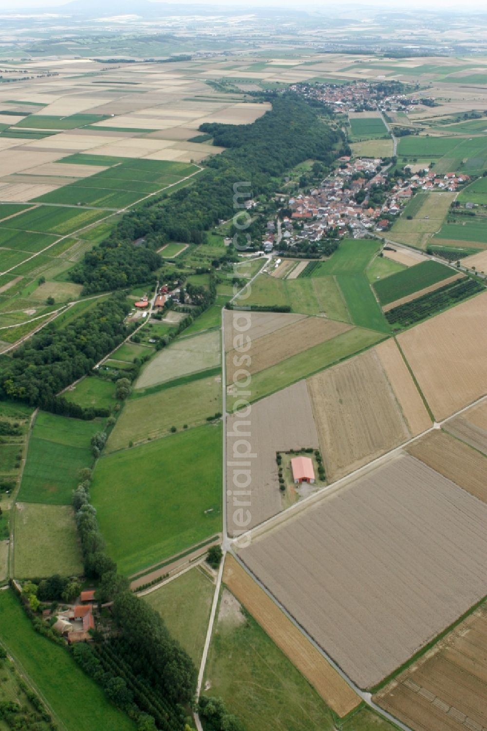 Aerial image Nieder-Hilbersheim - Barn with field crop and pasture landscape in Nieder-Hilbersheim in Rhineland-Palatinate