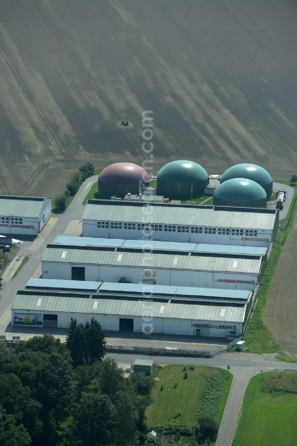 Ochelmitz from the bird's eye view: Stables of an agricultural business with biogas plant in the South of Ochelmitz in the state of Saxony. The village is characterised by agricultural estates and farms and is surrounded by fields. The colourful domes of the digester are visible