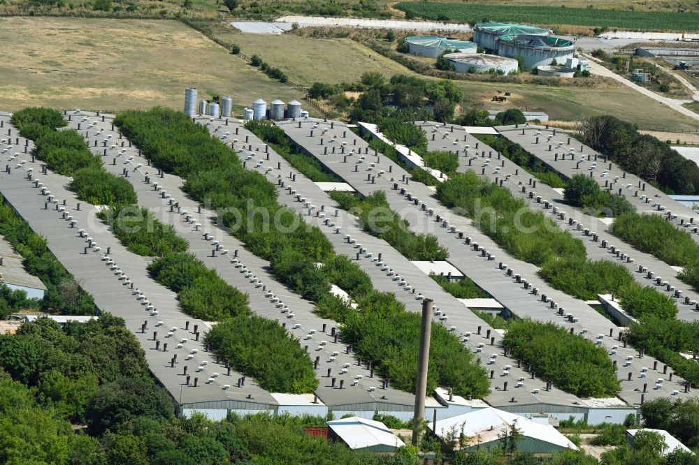 Großkayna from above - Ruins of abandoned and derelict animal breeding stables and agricultural outbuildingseiner Sauenzuchtanlage in Grosskayna in the state Saxony-Anhalt, Germany