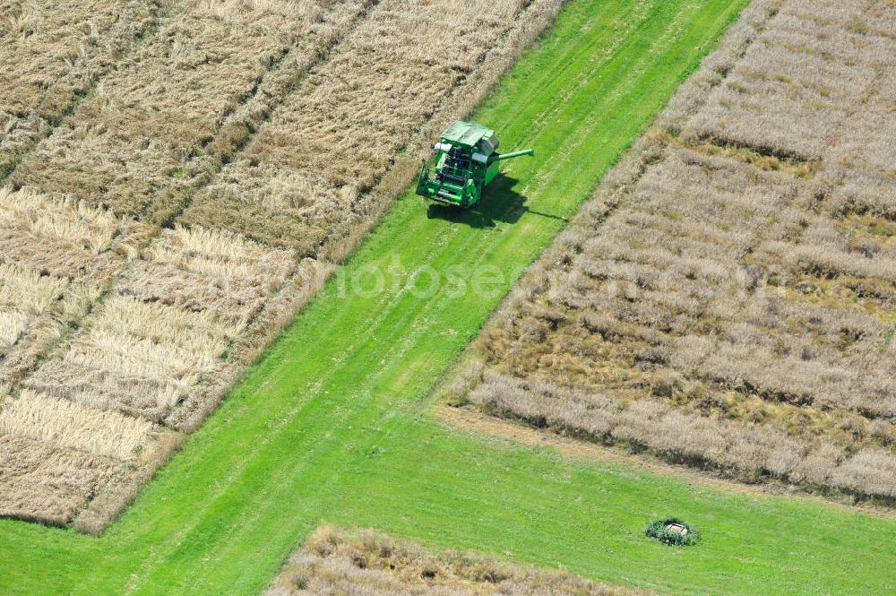 Walkendorf from the bird's eye view: Blick auf landwirtschaftliche Versuchsfelder bei Walkendorf in Mecklenburg Vorpommern. Bearbeitet werden verschiedene Parzellen für Zulassungsversuche im Pflanzenschutzbereich (GEP-Versuche). View of agricultural experimental fields at Walkendorf.