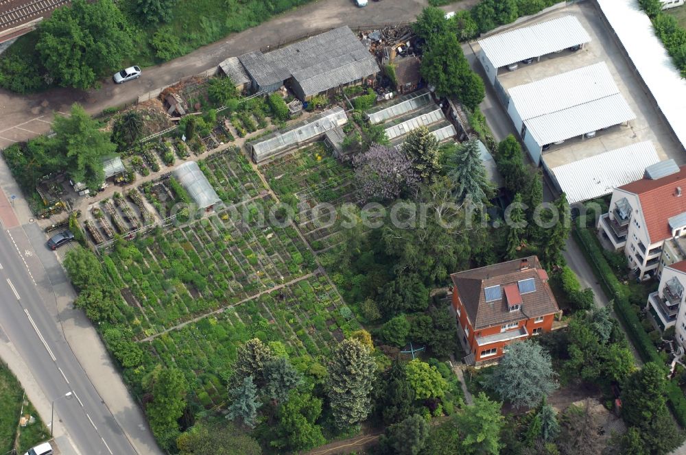 Dresden from above - Perennial nursery Jentsch at the street Raykistrasse in Dresden-Strehlen in Saxony