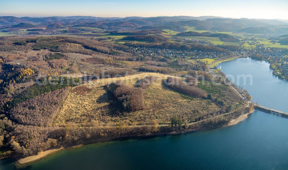 Amecke from the bird's eye view: Shore areas at the lake Sorpesee in Amecke in the state North Rhine-Westphalia, Germany